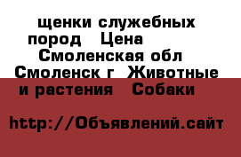 щенки служебных пород › Цена ­ 1 000 - Смоленская обл., Смоленск г. Животные и растения » Собаки   